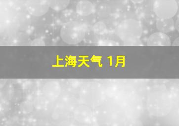 上海天气 1月